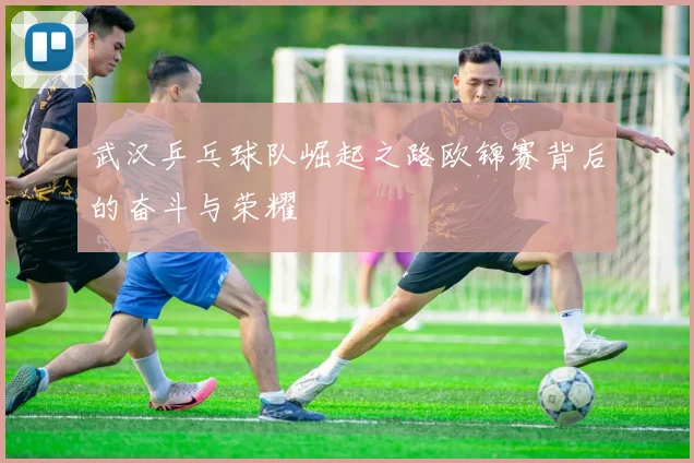武汉乒乓球队崛起之路欧锦赛背后的奋斗与荣耀