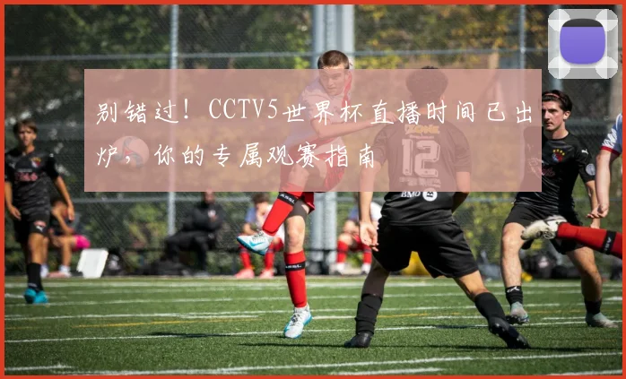 别错过！CCTV5世界杯直播时间已出炉，你的专属观赛指南